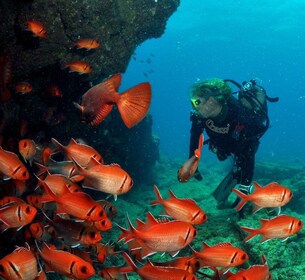 Santa Maria : Forfait de plongée sous-marine avec 6 plongées