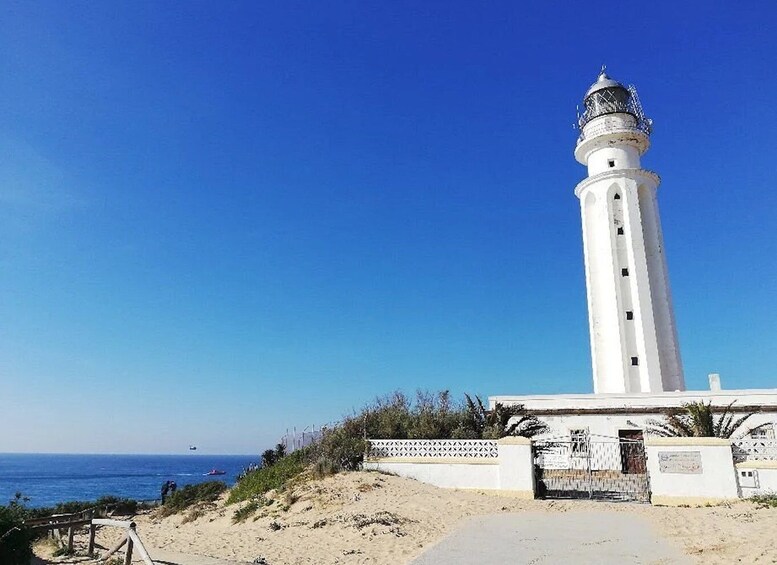 Picture 3 for Activity Barbate: La Breña Natural Park and Cape Trafalgar Boat Trip