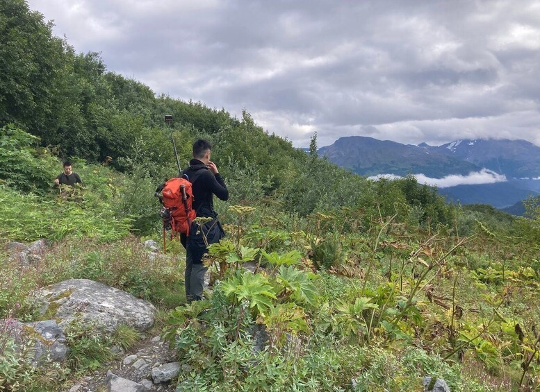 Picture 2 for Activity Seward: Guided Wilderness Hike with Transfer