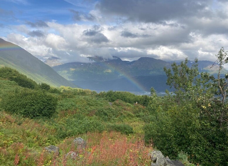 Picture 8 for Activity Seward: Guided Wilderness Hike with Transfer