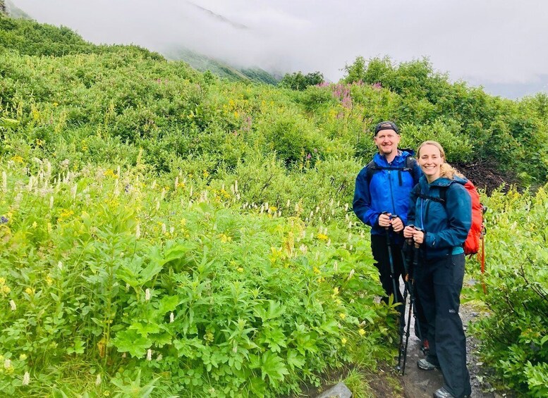 Picture 9 for Activity Seward: Guided Wilderness Hike with Transfer