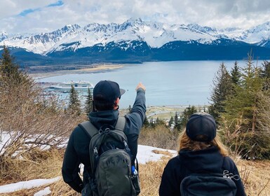 Seward: caminata guiada por la naturaleza con traslado