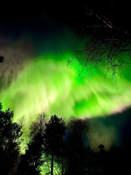 Picture 3 for Activity Amazing Aurora with BBQ in the Best Spot in Rovaniemi!