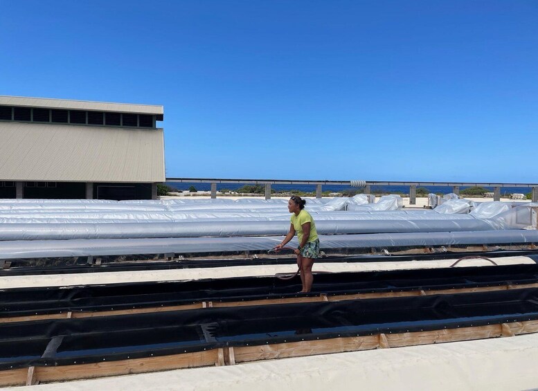 Picture 17 for Activity Kona: Hawaiian Salt Farm Tour