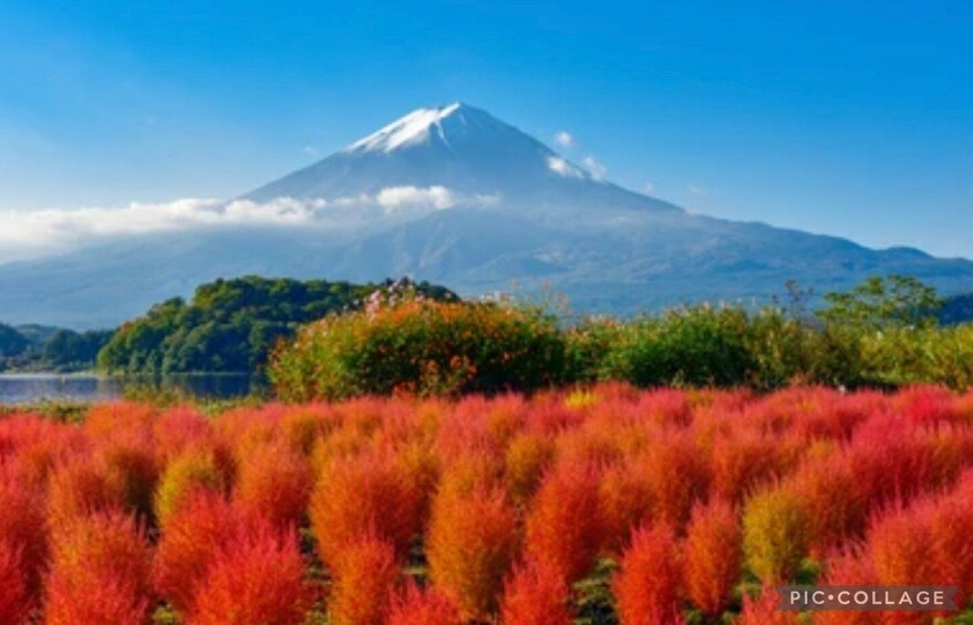 Picture 3 for Activity From Tokyo/Hakone/Fuji: Hakone & Mt. Fuji Day Trip w/Pickup