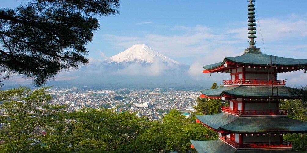 Picture 2 for Activity From Tokyo/Hakone/Fuji: Hakone & Mt. Fuji Day Trip w/Pickup