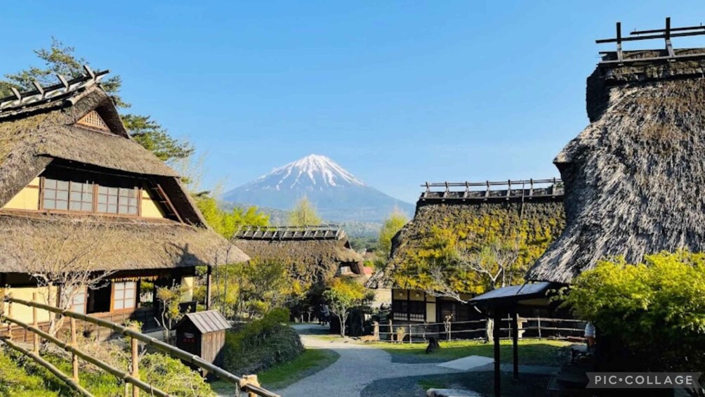 Picture 5 for Activity From Tokyo/Hakone/Fuji: Hakone & Mt. Fuji Day Trip w/Pickup