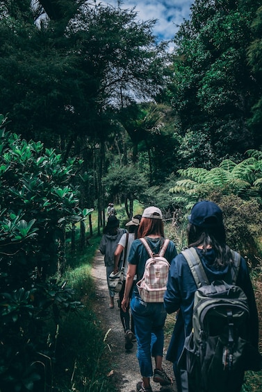 Picture 3 for Activity Hike in The Karura Forest