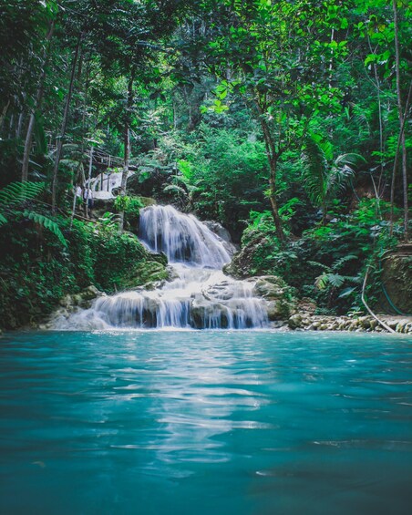 Hike in The Karura Forest