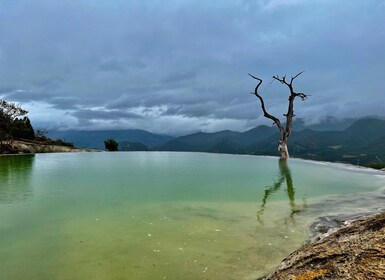 Hierve el agua, Mitla: Full day tour