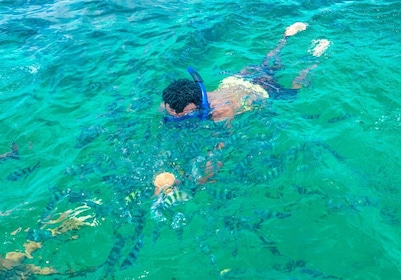 Blue Safari: Snorkelling at Watamu Marine Park & Seafood