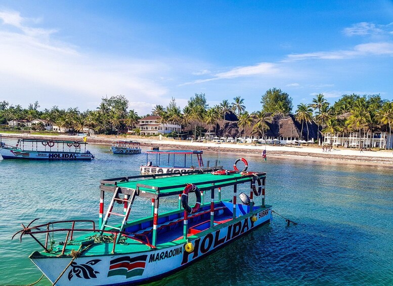 Picture 11 for Activity Blue Safari: Snorkeling at Watamu Marine Park & Seafood