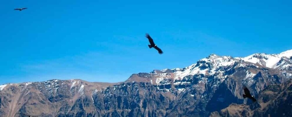 Picture 2 for Activity || Day trip to Chivay and Colca Canyon in Arequipa ||