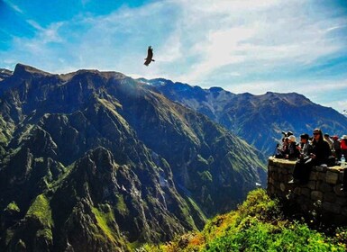 || Tagesausflug nach Chivay und zum Colca Canyon in Arequipa