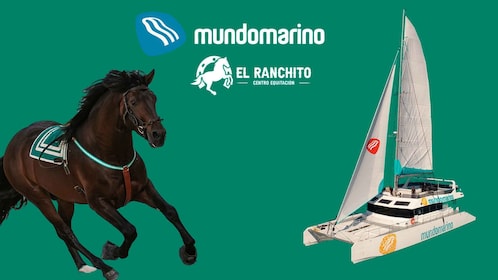 Combo Paardenshow en Catamaran Málaga tickets