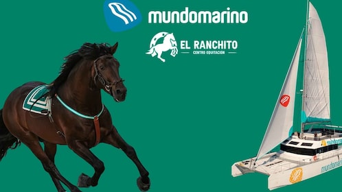 Combo Horse show and Catamaran Málaga tickets