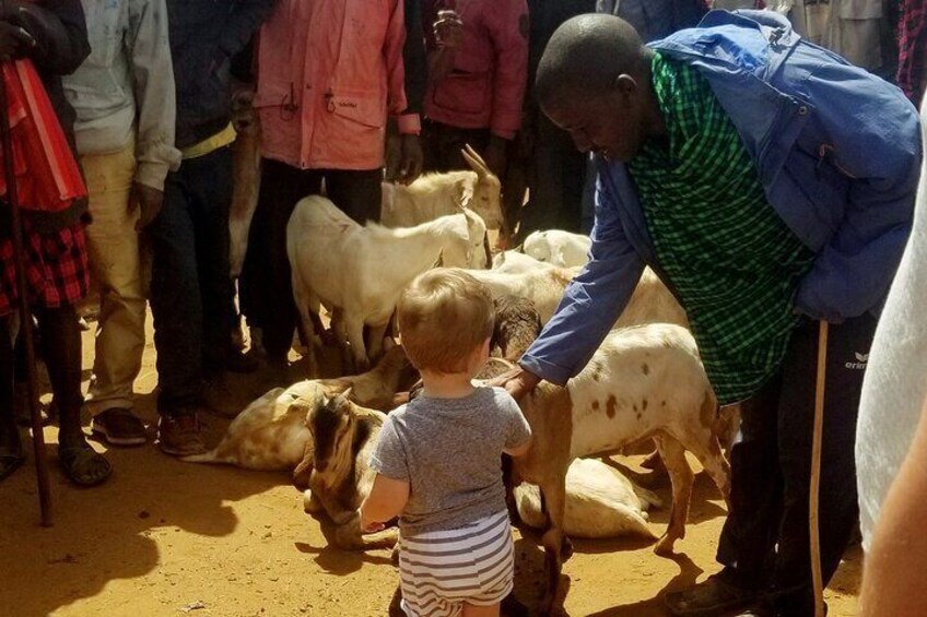 Maasai Village Experience Day Tour