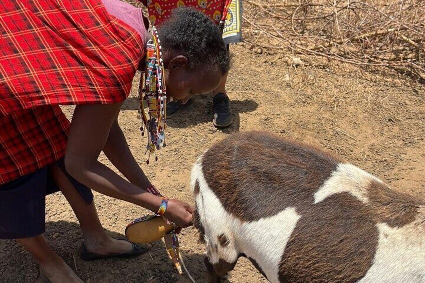 Maasai Village Experience Day Tour