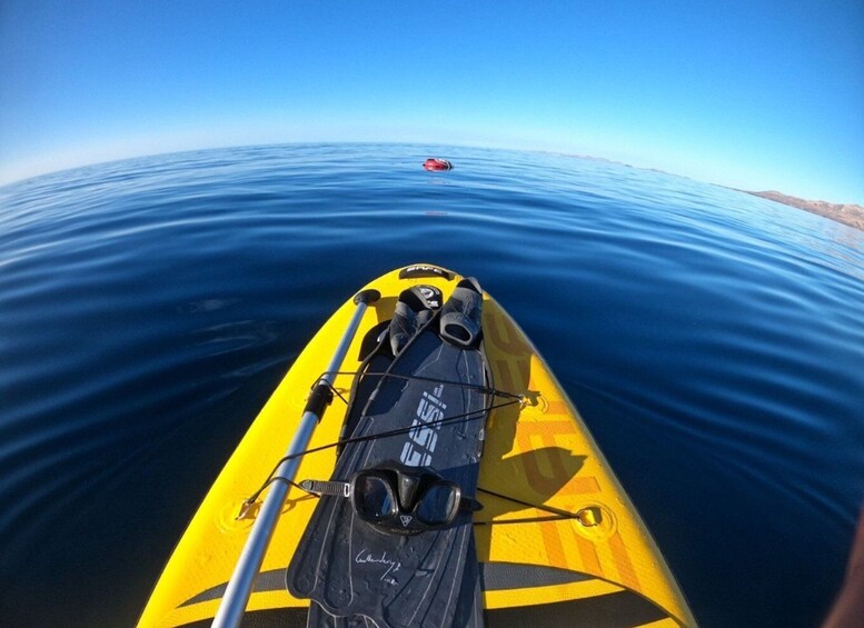 Picture 6 for Activity Playa Blanca: Stand up paddle class for beginners