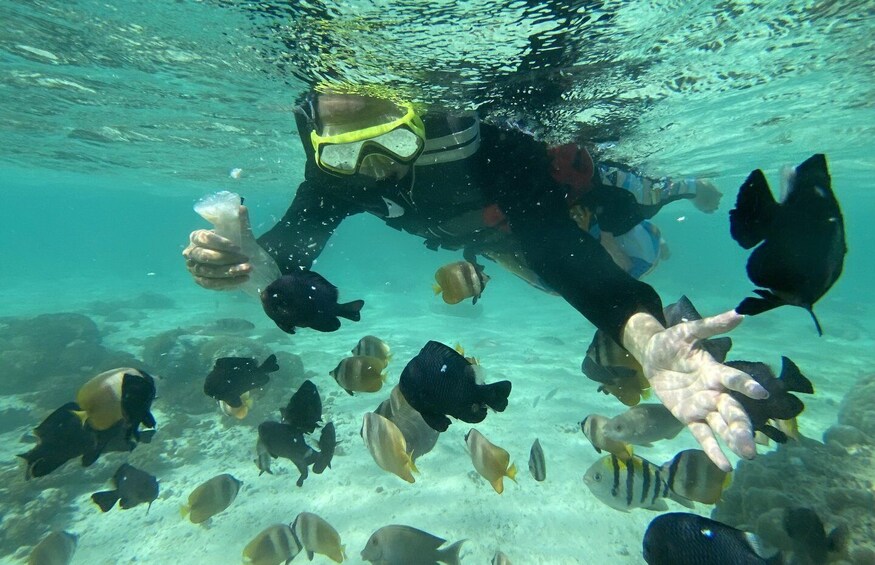 Picture 10 for Activity Exotic Escape Island : Pink Beach and Snorkeling Daily Tour