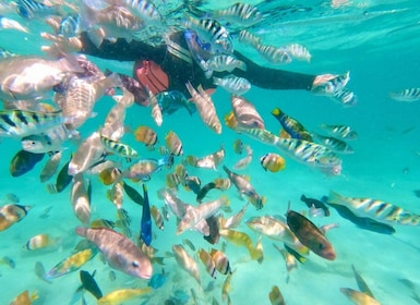 Exotic Escape Island : Pink Beach and Snorkelling Daily Tour