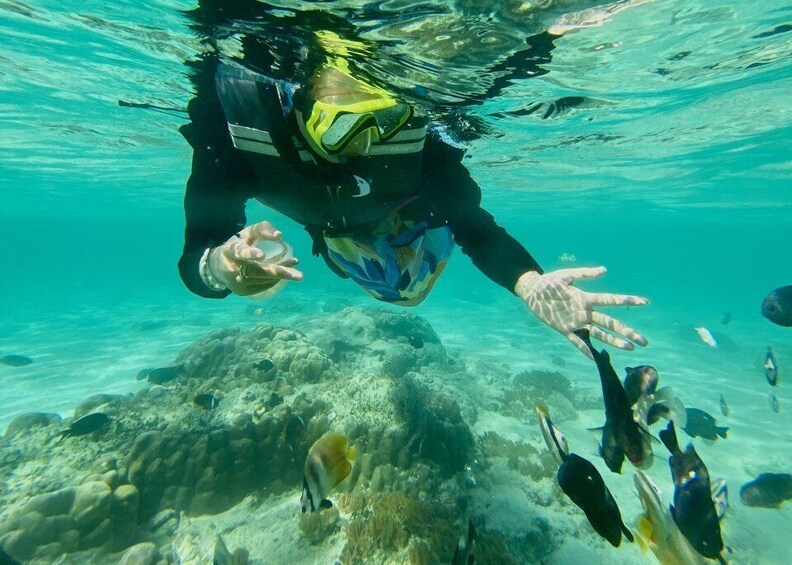 Picture 8 for Activity Exotic Escape Island : Pink Beach and Snorkeling Daily Tour