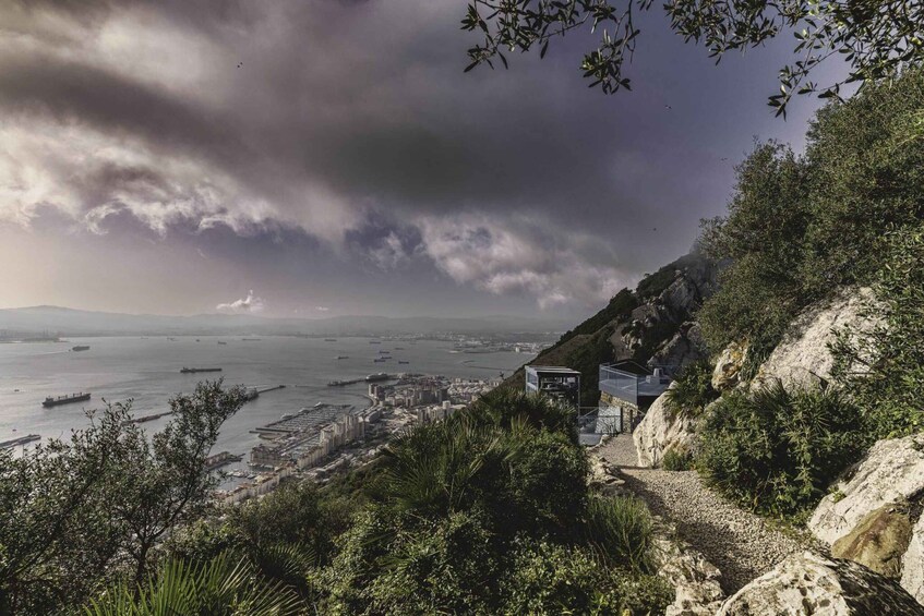 Picture 20 for Activity Gibraltar: Upper Rock Nature Reserve Entry Ticket