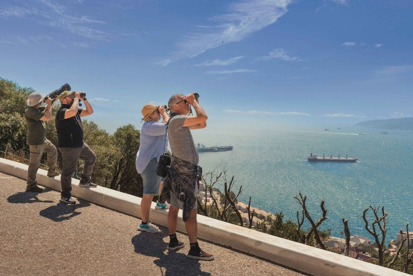 Picture 7 for Activity Gibraltar: Upper Rock Nature Reserve Entry Ticket