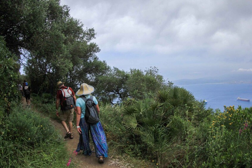 Picture 3 for Activity Gibraltar: Upper Rock Nature Reserve Entry Ticket
