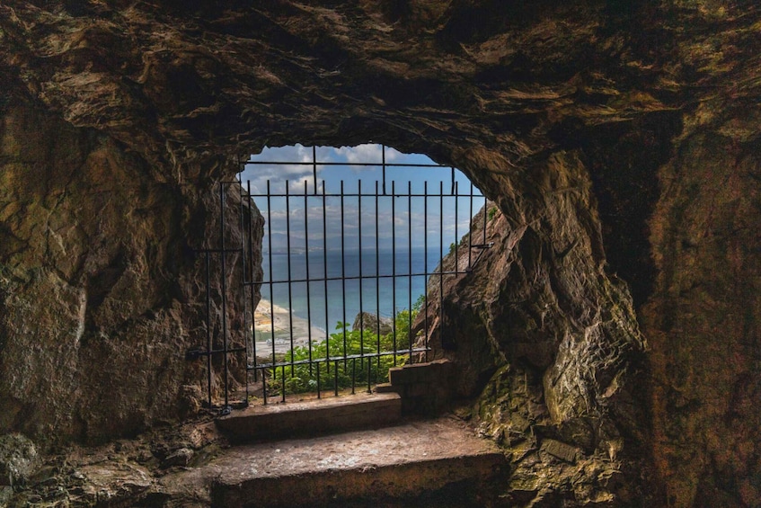 Picture 4 for Activity Gibraltar: Upper Rock Nature Reserve Entry Ticket