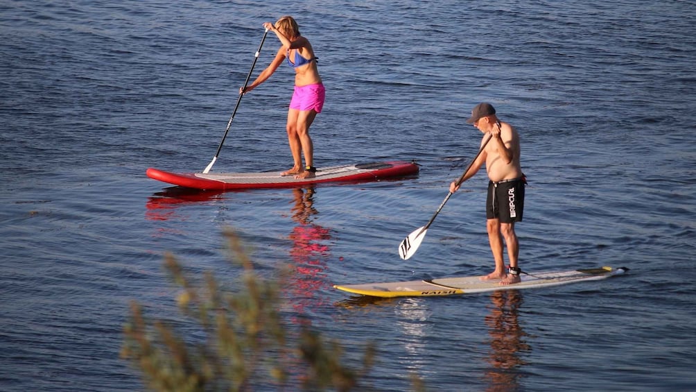 Picture 5 for Activity Giardini Naxos: SUP Trip in the Bay of Taormina