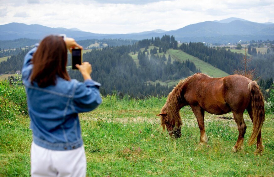 Picture 5 for Activity 5 hours horse riding tour in Borjomi National Park