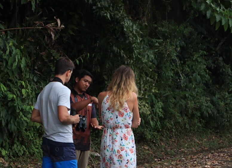 Picture 6 for Activity Langkawi: Nighttime Rainforest Tour with Nature Guide