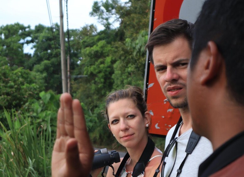 Picture 7 for Activity Langkawi: Nighttime Rainforest Tour with Nature Guide