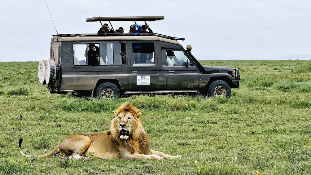Picture 8 for Activity From Zanzibar: 4 Days Northern Circuit Safari Tour adventure