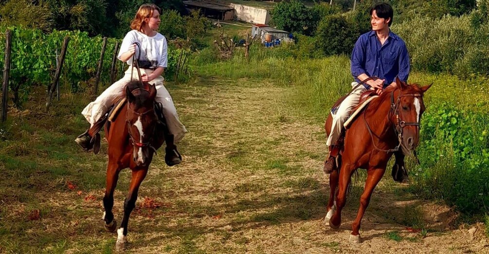 Florence - Sightseeing tour on horseback