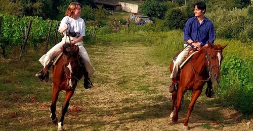 Florence - Sightseeing tour on horseback