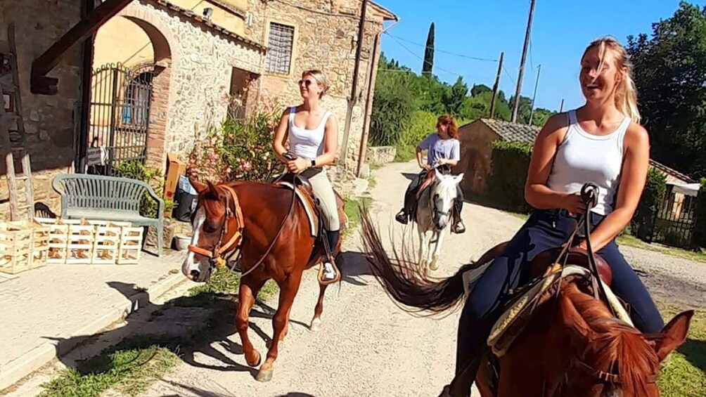 Picture 5 for Activity Florence - Sightseeing tour on horseback