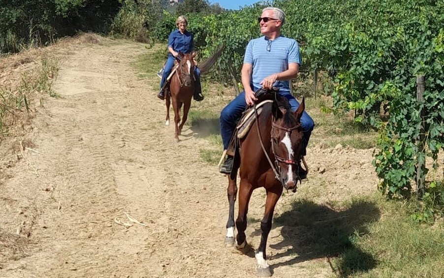 Picture 4 for Activity Florence - Sightseeing tour on horseback