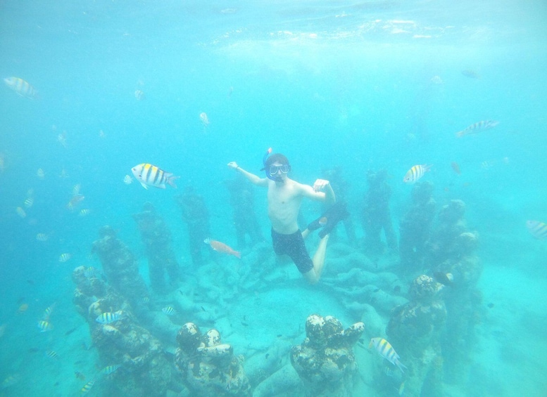 Picture 6 for Activity 4 Hours Snorkeling 3 Gilis ( Trawangan,Meno, Gili air)