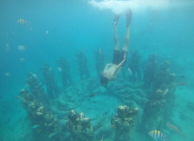 4 timers snorkling på 3 Gilis (Trawangan, Meno, Gili Air)