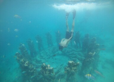 4 Jam Snorkeling 3 Gili (Trawangan, Meno, Gili air)