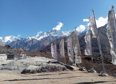 Au départ de Katmandou : 12 jours de randonnée au camp de base de l'Annapur...