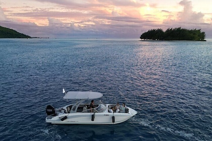 Reef Discovery Private Sunset Cruise i Bora-Bora