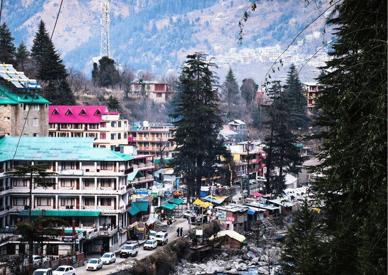 Picture 8 for Activity Heritage & Cultural Walking Tour Manali -Guided Walking Tour