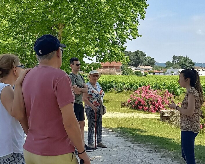 Picture 2 for Activity Bordeaux vineyard off the beaten path: 2 wineries & tastings