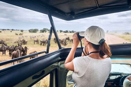 6 días en el mejor safari por Tanzania en un Land Cruiser 4X4