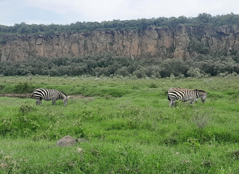 Picture 3 for Activity Day trip to Hells gate and Lake Naivasha