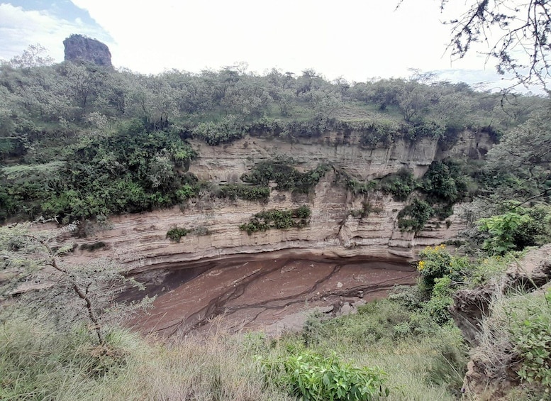 Picture 5 for Activity Day trip to Hells gate and Lake Naivasha