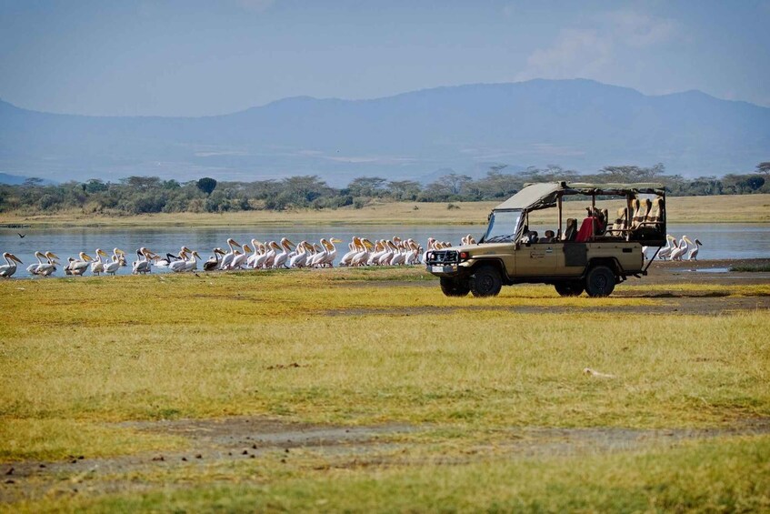 Picture 6 for Activity Day trip to Hells gate and Lake Naivasha